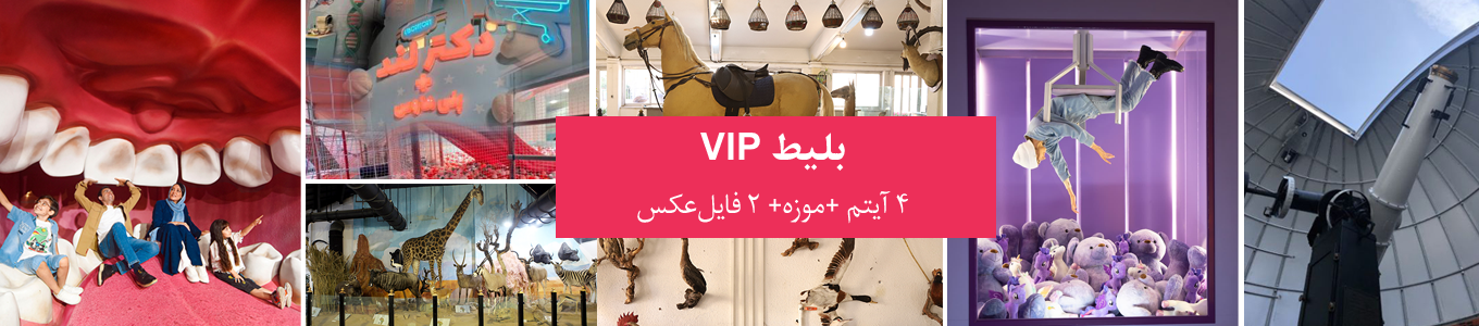 پکیج VIP ( ‫۴ آیتم + موزه + ۲ فایل عکس‫‫)