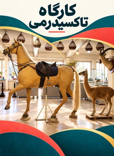 کارگاه تاکسیدرمی