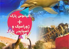 پکیج (ژوراسیک و اسپایدرپارک و اقیانوس پارک)