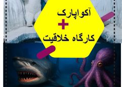 پکیج (کارگاه خلاقیت و آکوا پارک)