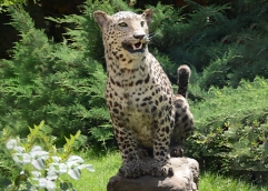 موزه حیات وحش  5