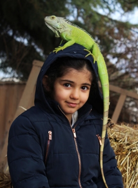 کلبه خزندگان 