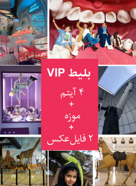 پکیج VIP ( ‫۴ آیتم + موزه + ۲ فایل عکس‫‫)