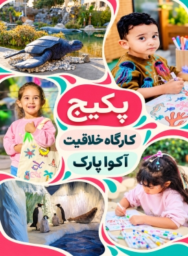 پکیج (کارگاه خلاقیت و آکوا پارک)