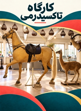 کارگاه تاکسیدرمی
